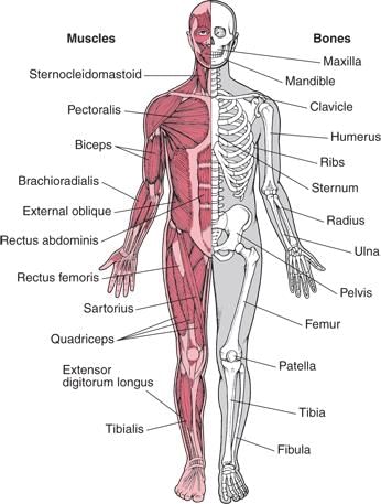 NCERT Summary: Summary of Biology- 2 | Science & Technology for UPSC CSE