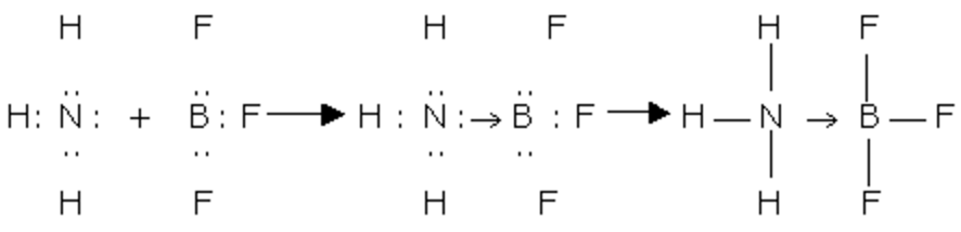 Types of Chemical Bonds | Physical Chemistry for NEET