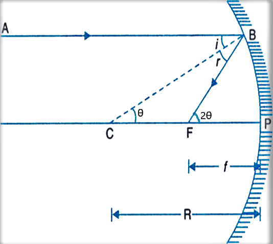 Image Formation: Concave & Convex Mirror | Science Class 10