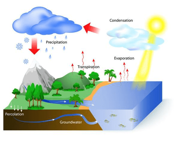 Water cycle