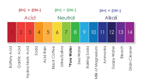 PH Scale: Indicators & Its Types | Science Class 10
