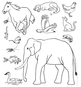 Poonam’s Day out NCERT Solutions | EVS for Class 3