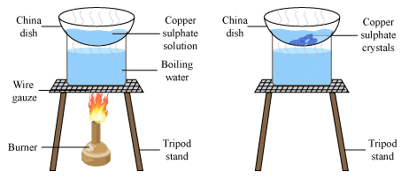 Crystallization of Copper Sulphate