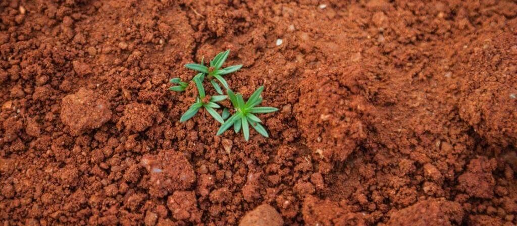  Soil