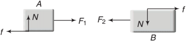 Laws of Motion Detailed Explanation | Physics Class 11 - NEET