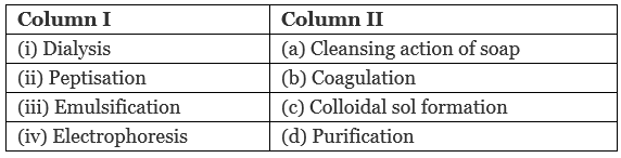 NCERT Exemplar: Surface Chemistry (Old NCERT) | Chemistry for JEE Main & Advanced