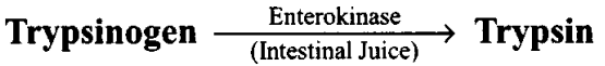 NCERT Exemplar: Digestion and Absorption (Old NCERT) | Biology for Grade 11