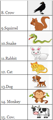 Poonam’s Day out NCERT Solutions | EVS for Class 3