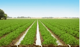 Irrigation | Civil Engineering SSC JE (Technical) - Civil Engineering (CE)