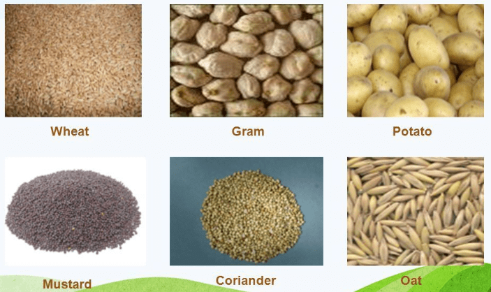 Crop Production and Management Class 8 Notes Science Chapter 1