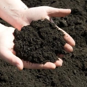 Organic Manure