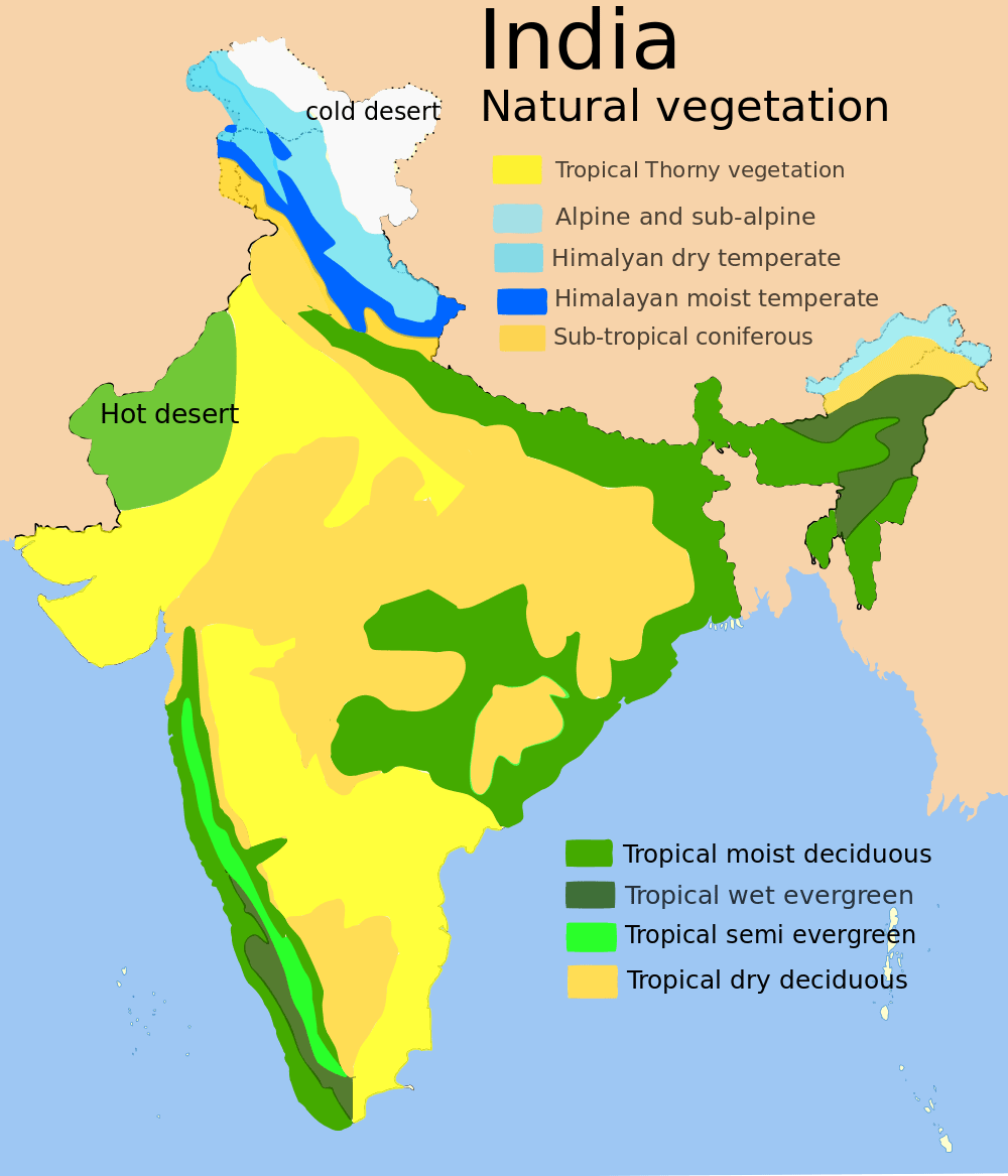 Natural Vegetation and Wildlife - Notes, Class 9