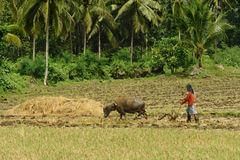 Class 10 Geography Chapter 4 Notes - Agriculture
