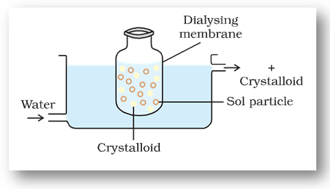 Dialysis