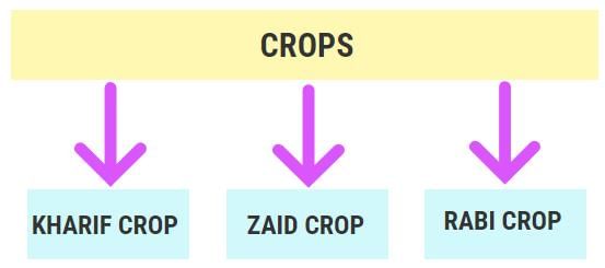 NCERT Summary: Land use & Agriculture - 1 | Geography for UPSC CSE