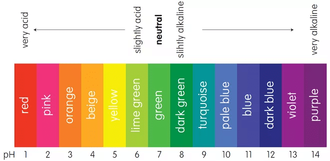 End Point, Equivalence Point & Indicators | Physical Chemistry