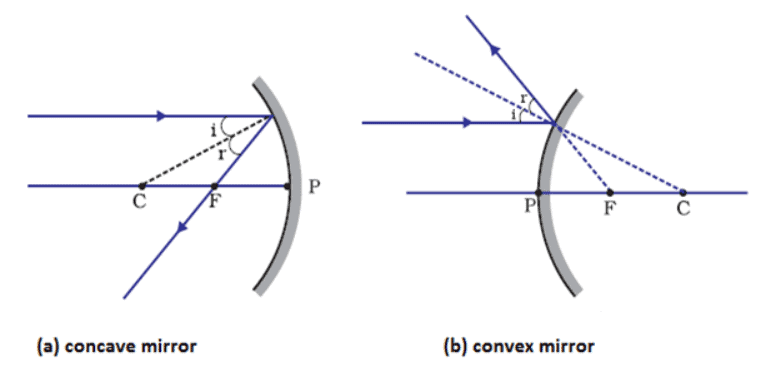 Image Formation: Concave & Convex Mirror | Science Class 10