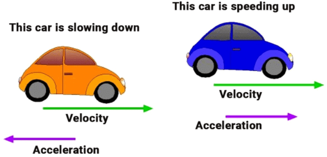 Motion Class 9 Notes Science Chapter 7
