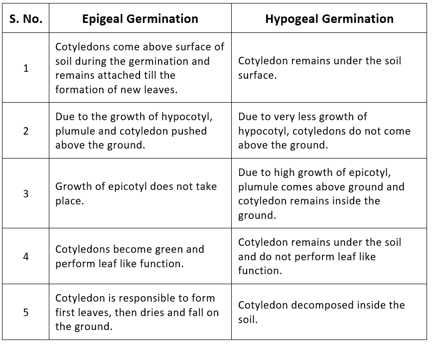 Post-Fertilisation: Development of Seed & Fruit | Biology for JAMB