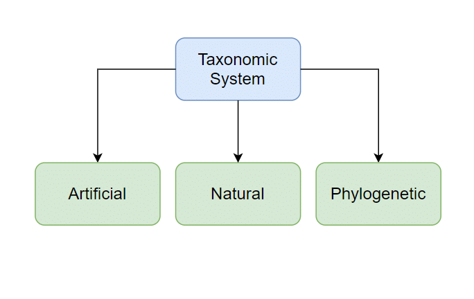 Biological Classification