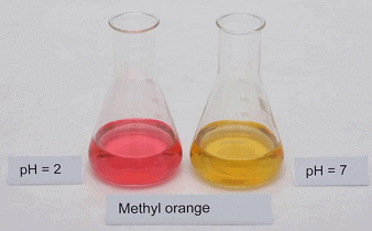 End Point, Equivalence Point & Indicators | Physical Chemistry
