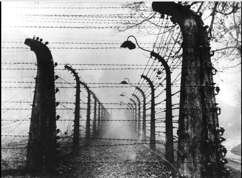 Class 9 History Chapter 3 Notes - Nazism and the Rise of Hitler