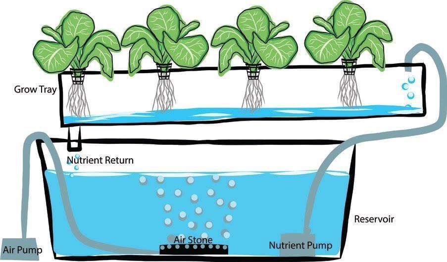 Hydroponics