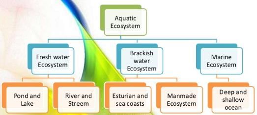 Classification of Ecosystem
