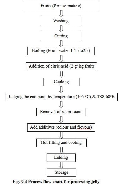Processed Products from Fruits and Vegetables, Crop Process Engineering | Crop Process Engineering Notes - Agricultural Engg - Agricultural Engineering