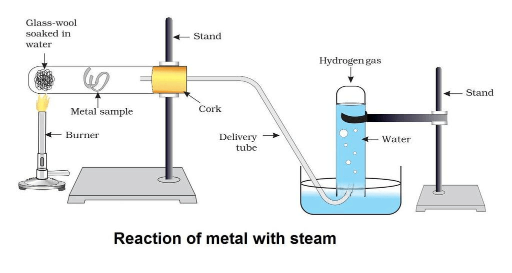 Chemical Properties of Metals | Science Class 10