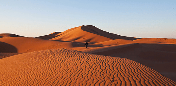 NCERT Solutions for Class 7 Social Science - Life in the Deserts