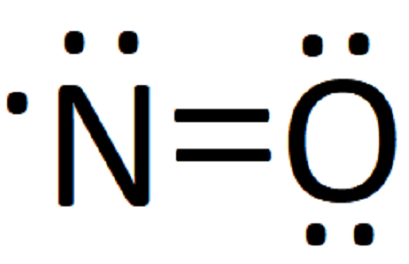 Lewis`s structure of NO