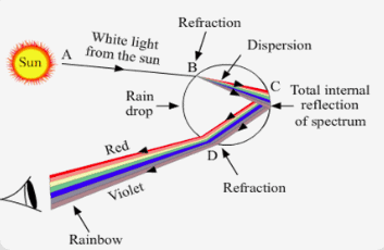 Class 10 Science: CBSE Sample Question Paper (2019-20) - 1 | Science Class 10