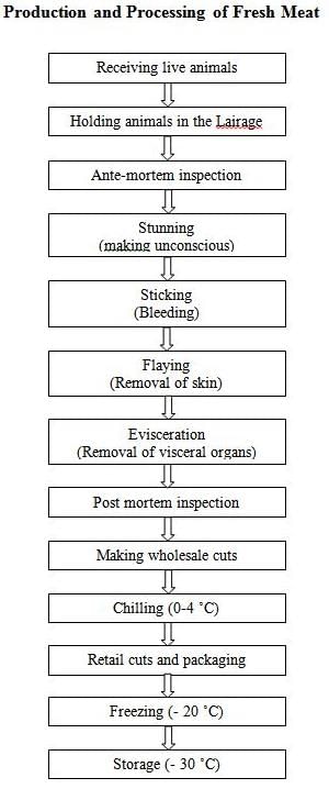Meat and Meat Processing, Crop Process Engineering | Crop Process Engineering Notes - Agricultural Engg - Agricultural Engineering
