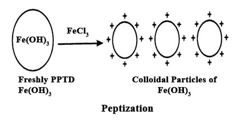 Preparation, Purification & Properties of Colloidal Solutions | Physical Chemistry for NEET