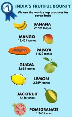 India is the largest producer of fruits