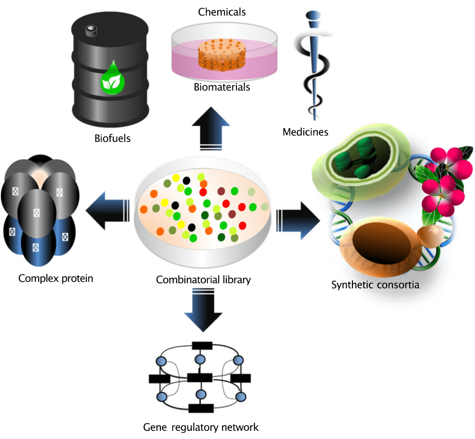 Products of Genetic Engineering
