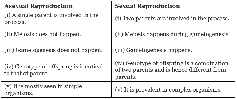 NCERT Exemplar: Reproduction in Organisms - 2 (Old NCERT) - NEET