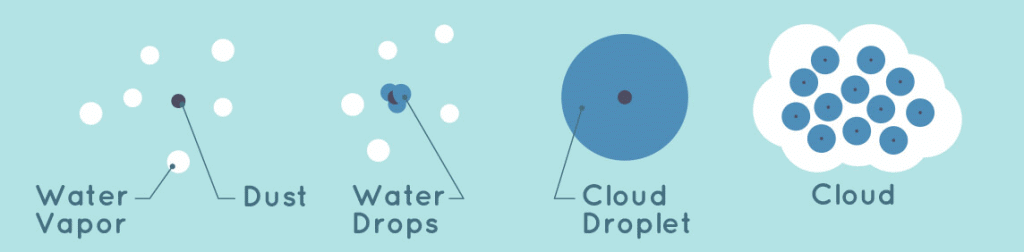 NCERT Solutions for Class 6 Science - Water