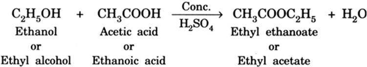 Class 10 Science Chapter 4 Previous Year Questions - Carbon and its compounds