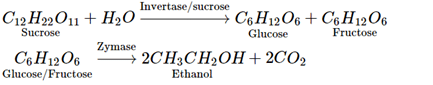 NCERT Exemplar: Alcohols, Phenols & Ethers | Chemistry Class 12 - NEET