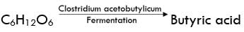 Economic Importance, Harmful Effects & Types of Bacteria | Additional Study Material for NEET