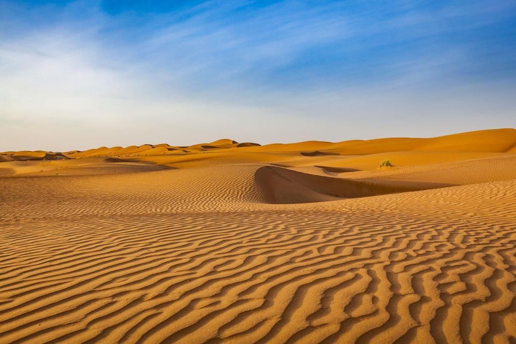 Desert 