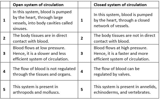 NCERT Solutions Class 11 Biology Chapter 18 - Body Fluids and Circulation