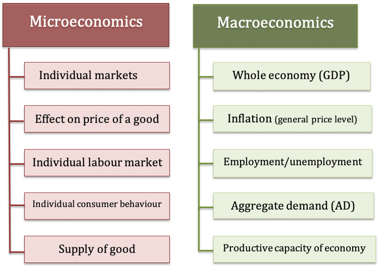 Two main branches of Economics