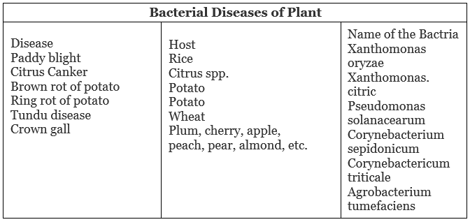 Respiration, Growth & Movement, Vernalization, Photoperiodism, Artificial Vegetative Propagation | Science & Technology for State PSC Exams - BPSC (Bihar)