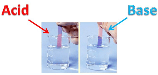 Acids, Bases and Salts Class 7 Notes Science Chapter 2