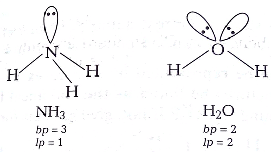 NCERT Solutions Class 11 Chemistry Chapter 4 - Chemical Bonding & Molecular Structure