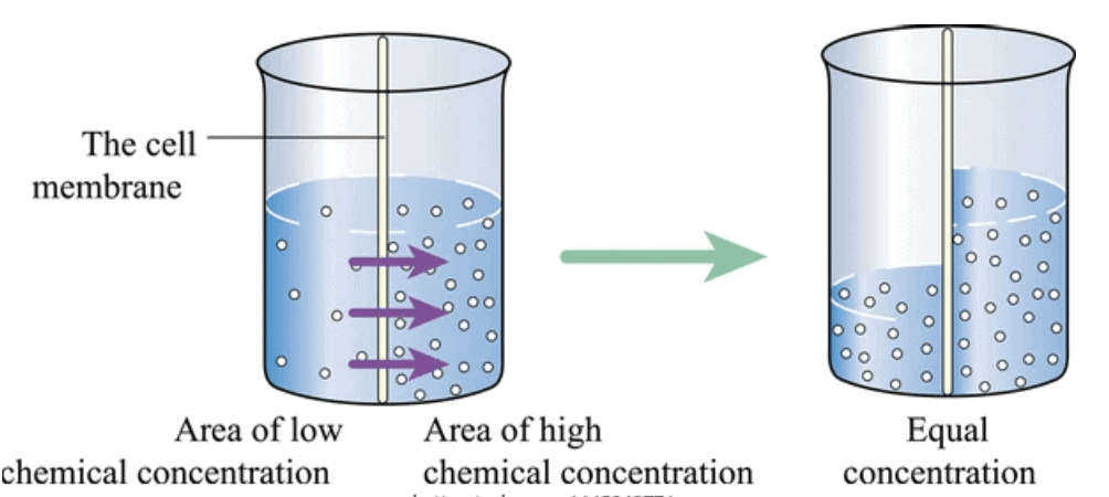 Osmosis, Osmotic Pressure & Van’t Hoff Factor | Chemistry Class 12 - NEET