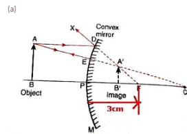 Lakhmir Singh & Manjit Kaur: Reflection of Light, Solutions- 4